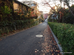 街角の秋