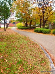 秋の鶴見緑地
