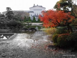 慶沢園からみた美術館1
