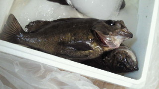 201203031652001.jpg