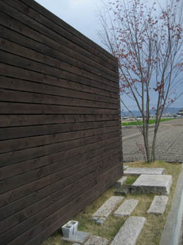 2012山桜