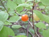 201006143.jpg
