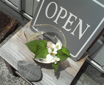 201006261055000.jpg