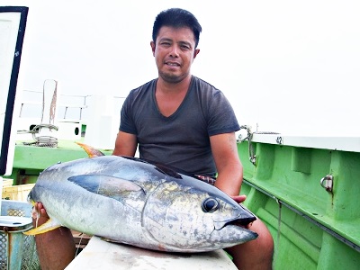 再掲載 エビング ジギング 相模湾キハダ キメジ カツオのエビング ジギングがスゴイ 湘南ルアー情報局