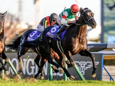 福袋特集 2024 限定品】ホースレーシング2017 グラスワンダー 有馬記念 ウマ娘 メンズウェア