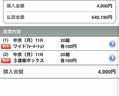 ドゥーラ馬券90万円分｜美術品・アンティーク・コレクション