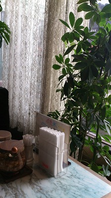 今日の純喫茶 大井松田編