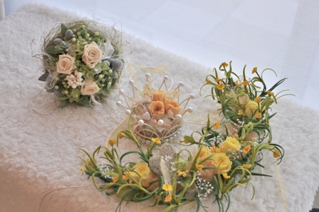 CSC_9071.JPG