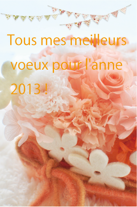 shopnenga2013.png