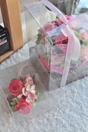 CSC_0945 - コピー.JPG