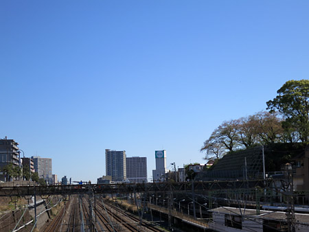 青木橋から幸ヶ谷公園を撮った写真