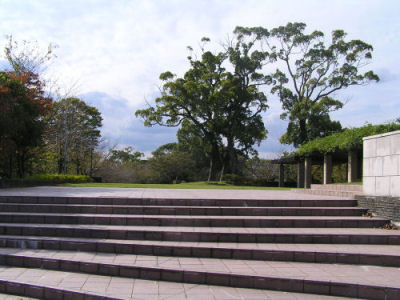 October 19, 2007