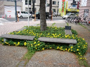 ドッピーのひとり言 上土手町 ドッピー君 のブログ