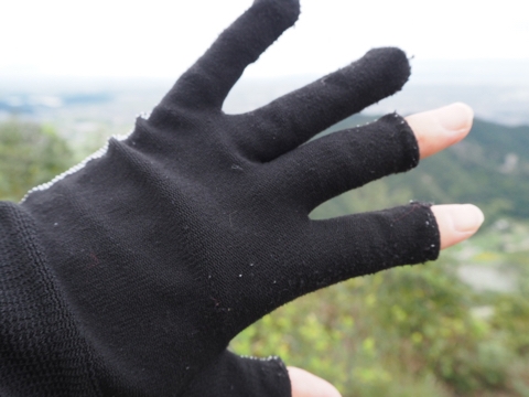 登山用グローブ・手袋 ☆100均 ( ´艸｀) | **ここいろまろん**