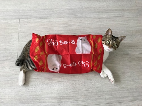 ダイビング カナウ