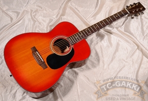 ARIA Dreadnought AF-25 コスパ、弾きやすさ抜群！初心者の方に