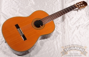 通販限定 takamine takamine エレガットギター PT-307 PT-307