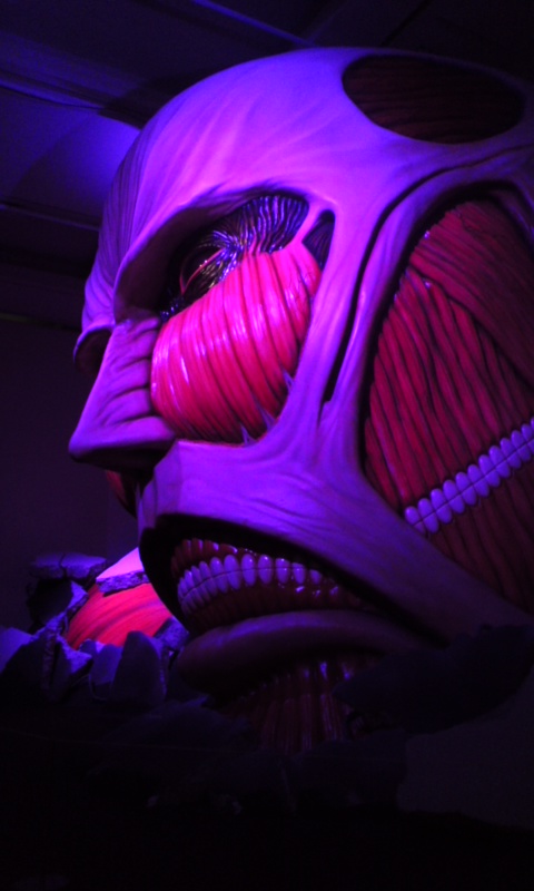 141220_1323~01.jpg