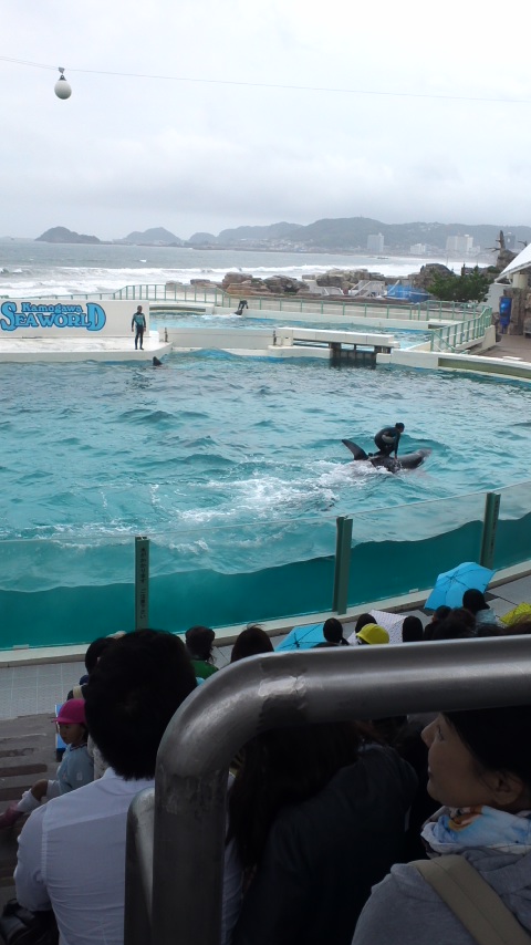 150519_1302~01.jpg