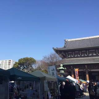 image1.JPG