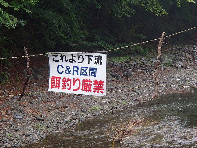 ｃ ｒ区間 餌釣り厳禁 小菅村漁協ブログ