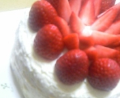 20060411_69315.jpg