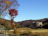自然に囲まれた友だち村