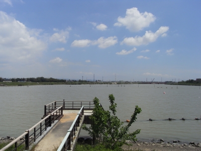 RIMG0635.JPG
