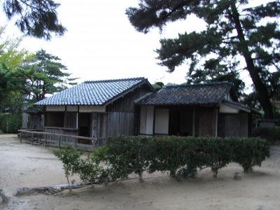 RIMG1225.JPG