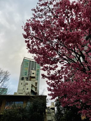20260320_2829172.jpg