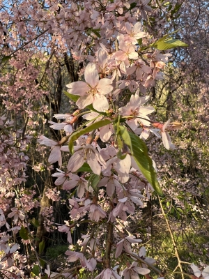20260409_2831390.jpg