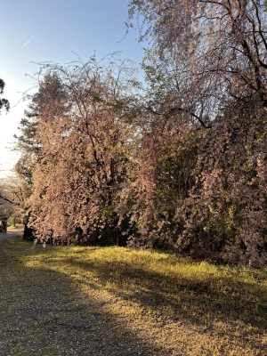 20260409_2831391.jpg
