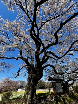 20260409_2831392.jpg