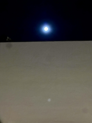 20260503_2834522.jpg