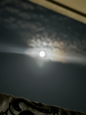 20260503_2834524.jpg