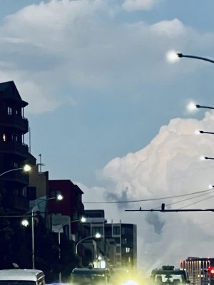 20260529_2837744.jpg