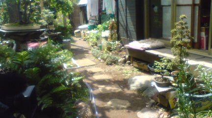kuroda garden