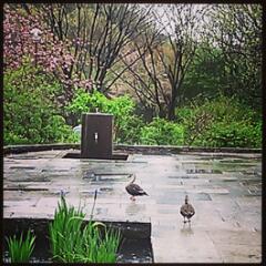20150414_195253.jpg
