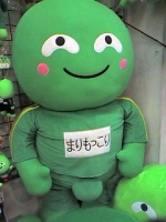 まりもっこり