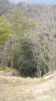 20090211123159.jpg