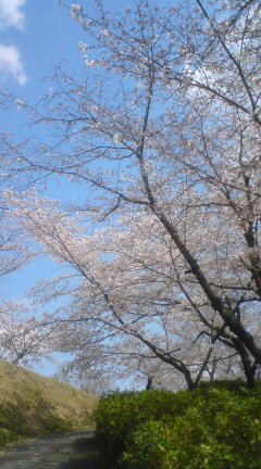 20090323140219.jpg