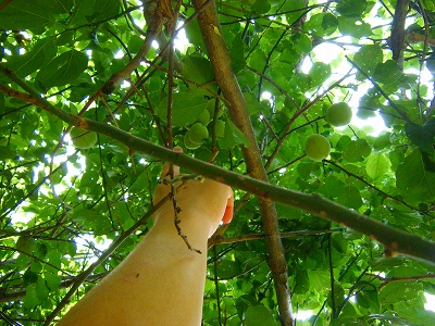 DSCF9898.jpg