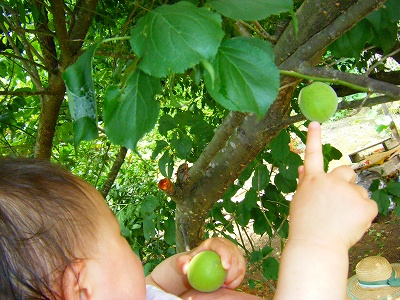 DSCF9903.jpg