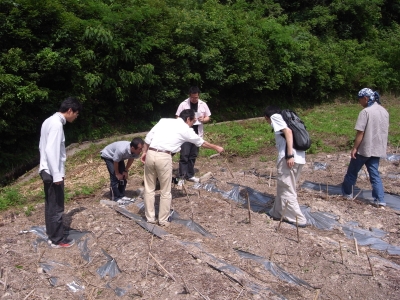 漆林見学2