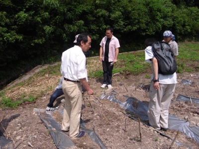 漆林見学3