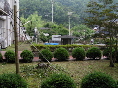 草抜き1
