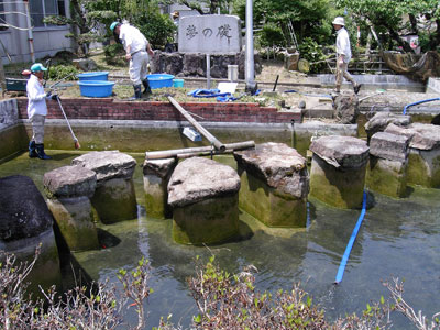 草抜き3
