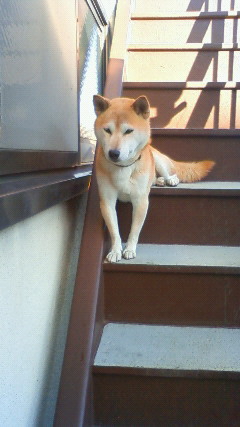 201012181408000.jpg