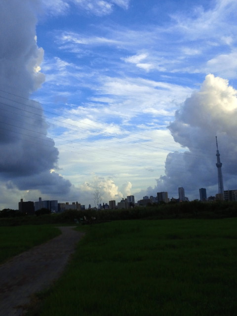 CAI_1303.jpg