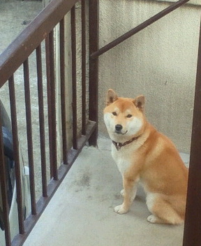 2013030214400000.jpg